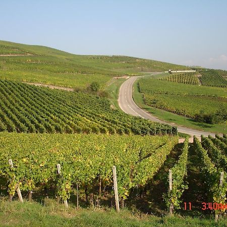 Gite Du Vigneron توركيم المظهر الخارجي الصورة